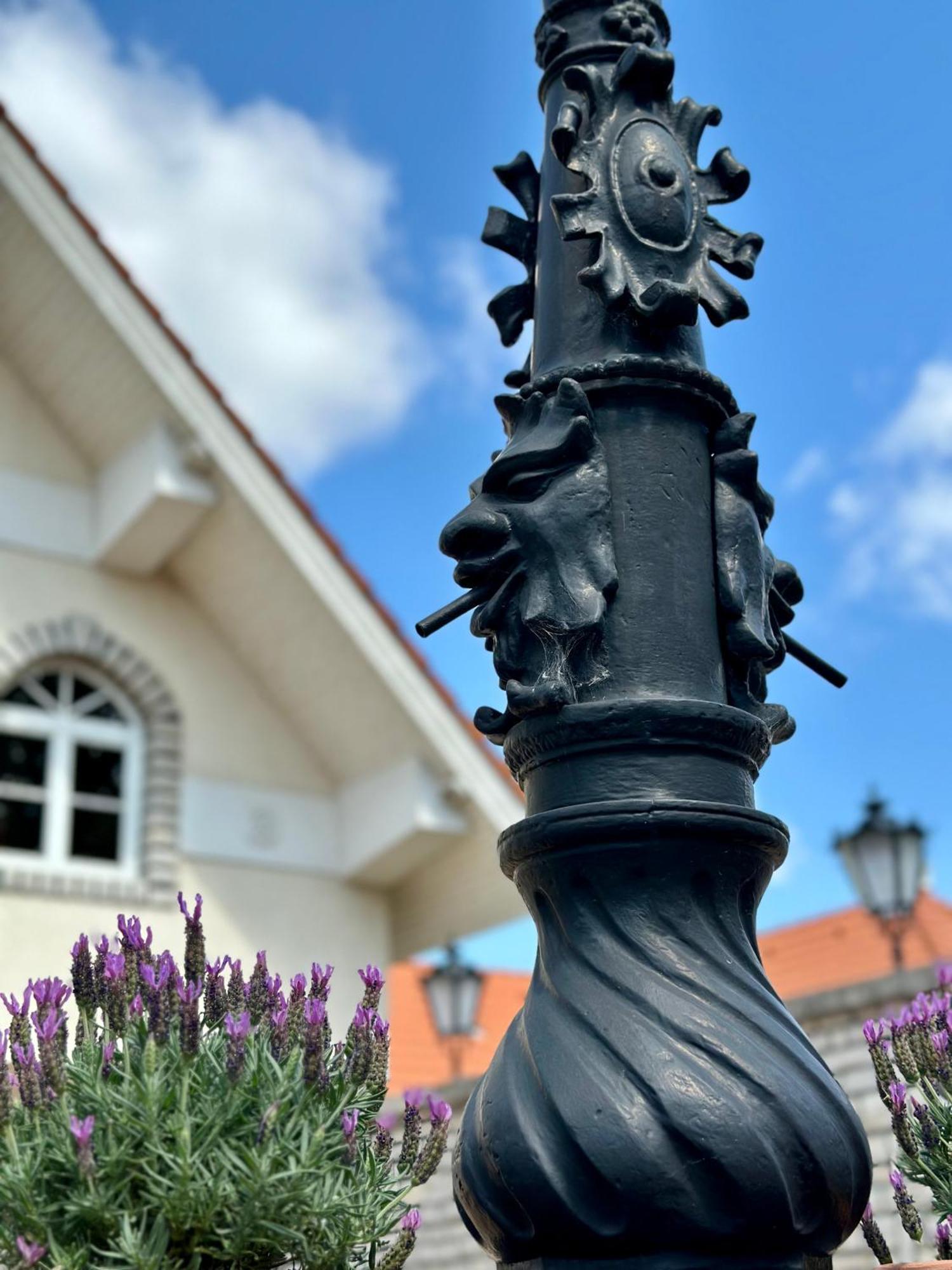 Ello Residence Veszprem Bagian luar foto